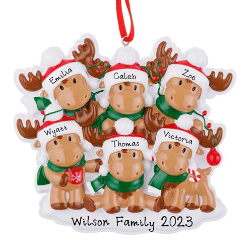 Personalized Reindeer Rudolph Family Christmas Ornament (Family of 6)