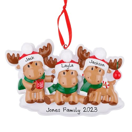 Personalized Reindeer Rudolph Family Ornament (Family of 3)
