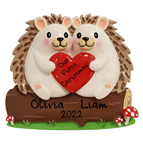 Personalized Christmas Ornament Hedgehog Family of 2