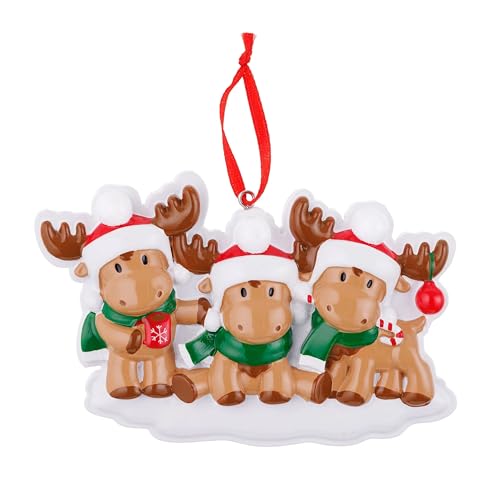 Personalized Reindeer Rudolph Family Ornament (Family of 3)