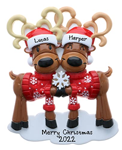 Personalized Mr. & Mrs. Reindeer Family Ornament (Family of 2)